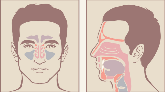 Relieve Sinus Issues Naturally with Traditional Chinese Medicine